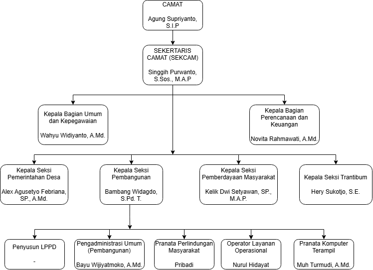 Bagan Struktur Organisasi